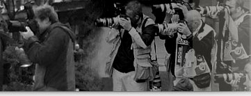 pressefotoverteiler.de